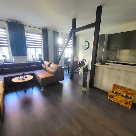 Daire Sehrgemuetlich In Sachsen Lihtenştayn